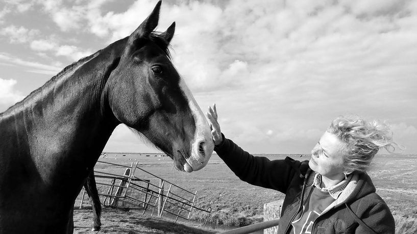 Het meisje en het paard. by Teun IJff