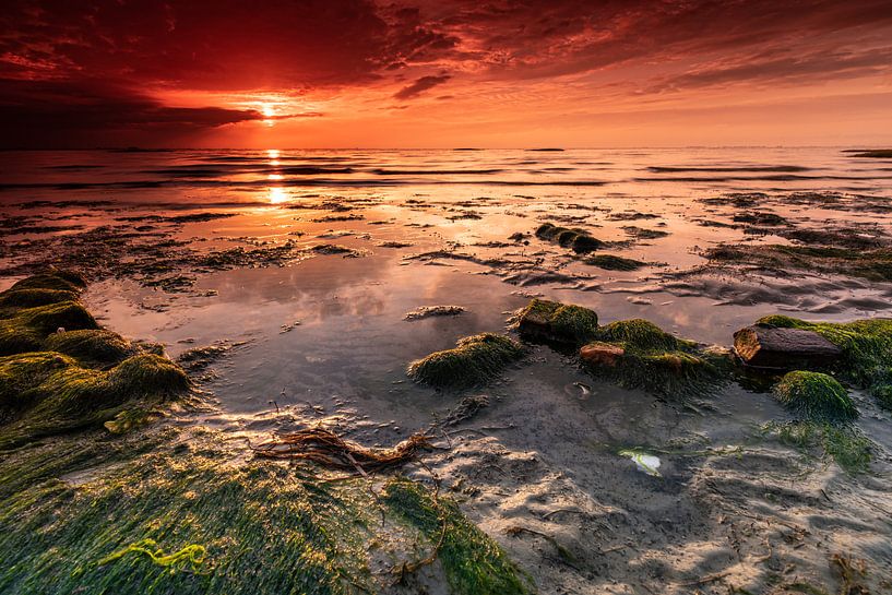 Nationalpark Oosterschelde von Ria Overbeeke
