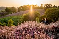 Romance sur la Posbank