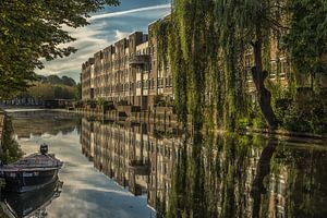 Symmetry in mirror image by Renate Oskam