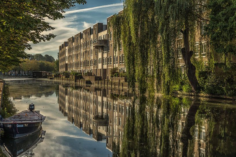 Symmetrie in spiegelbeeld van Renate Oskam