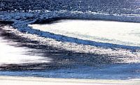 Abstract 31 van Pieter van Roijen thumbnail