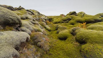 Bemoste lavavelden (IJsland) van Marcel Kerdijk