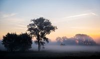 Mistige zonsopgang by Niki Moens thumbnail