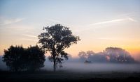 Mistige zonsopgang