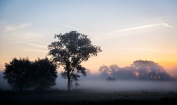 Mistige zonsopgang
