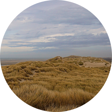 Panorama Terschelling de Boschplaat