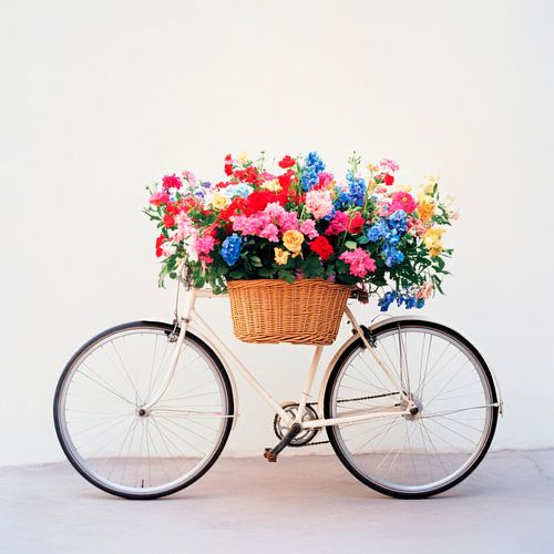 Blumenrad mit Korb voller Blumen
