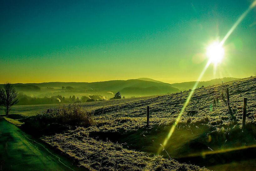 a cold winter morning by Norbert Sülzner