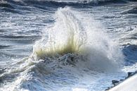 oceanische kracht van Danny Tchi Photography thumbnail