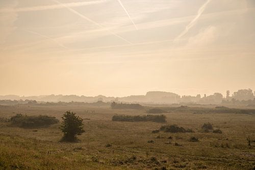 Zonsopgang met mist in de duinen tijdens een zomerochtend