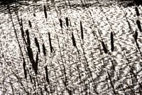 Lumières dansantes, éclats du soleil sur les vagues, l'eau en mouvement