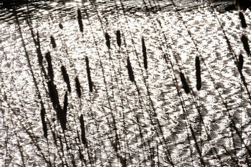 Dancing lights , sparkles of the sun on the flowing waves the water in motion