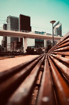 City of The Hague