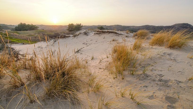 Plage et dunes hollandaises par Dirk van Egmond