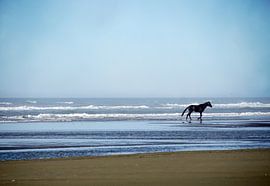 In Heaven von Robin Dickinson