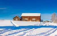 Koude zonnige winterdag in Zweden van Hamperium Photography thumbnail