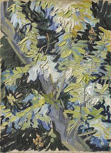 Vincent van Gogh, Blühende Akazie, um 1890