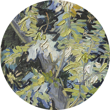 Vincent van Gogh, Bloeiende Acacia, ca. 1890