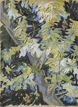 Vincent van Gogh, Bloeiende Acacia, ca. 1890