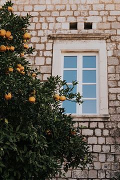 Sinaasappels in Dubrovnik van Mieke Broer
