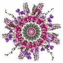 Vintage Mandala of flowers by Klaartje Majoor thumbnail