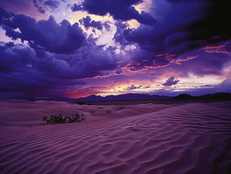 Zonnekus in de woestijn van fernlichtsicht