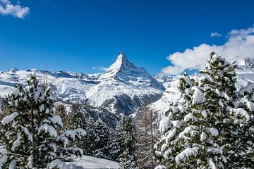 Das Matterhorn in der Schweiz an einem knackigen Wintertag