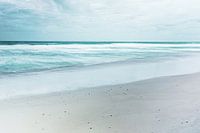 Marine landscape