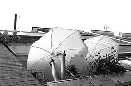 Amsterdamer Regenschirm von Marianna Pobedimova