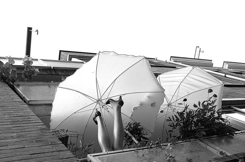 Amsterdamer Regenschirm von Marianna Pobedimova