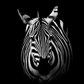 Zebra: Black and White Portrait van Elsje van Dyk