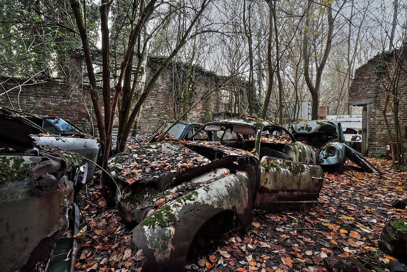 Urbex Schrottplatz mit Oldtimern von Dyon Koning