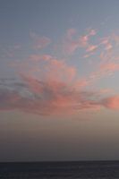 Pink Cloud