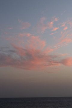 Pink Cloud by Anthea van den Berg