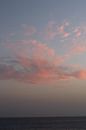 Pink Cloud by Anthea van den Berg thumbnail