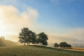 Sommermorgen mit Nebelresten über dem Hegau beim Hofgut Dauenberg - Eigeltingen im Landkreis Konstanz von BlattArt - Christine Horn
