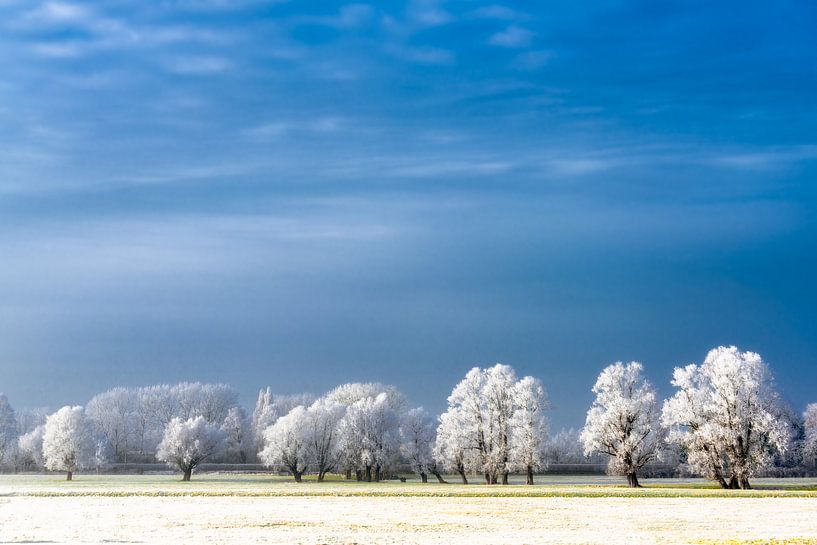 Magischer Winter von Maarten Mensink