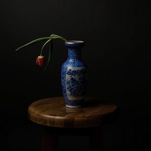 Dutch master; tulip in vase by Arend Wiersma