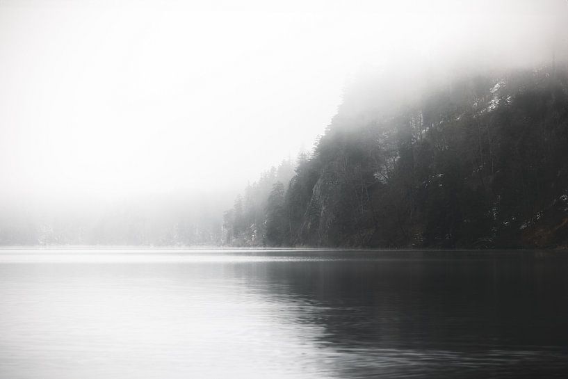Rugged Nature | Alpsee Germany | soothing black and white | Photo wallpaper by Laura Dijkslag