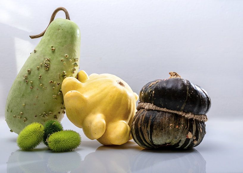 Kürbisse von Alex Neumayer