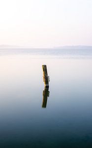 Morgenstimmung am See
