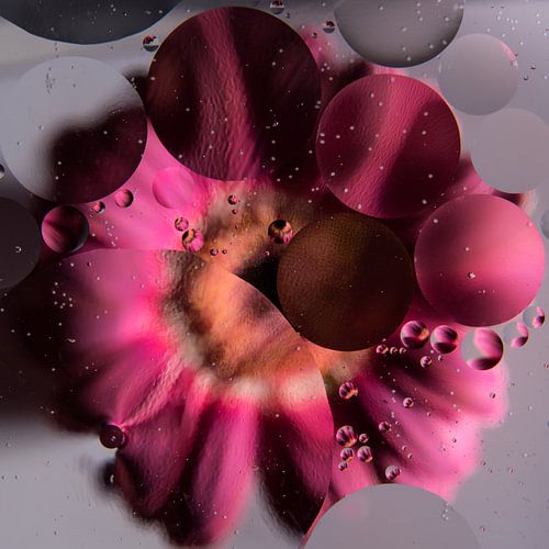 Abstractie: Roze Gerbera onder water en oliedruppels