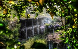 Room with a view by David Smets