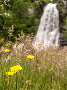 Wasserfall in Norwegen