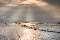 Sonnenlicht über der Nordsee von Evert Jan Kip Miniaturansicht