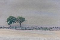 Toscane
