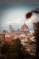 The Florence Vibe