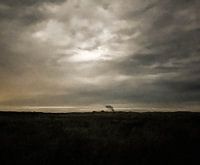 Starke Bewölkung auf dem Pfad der Zwanzig