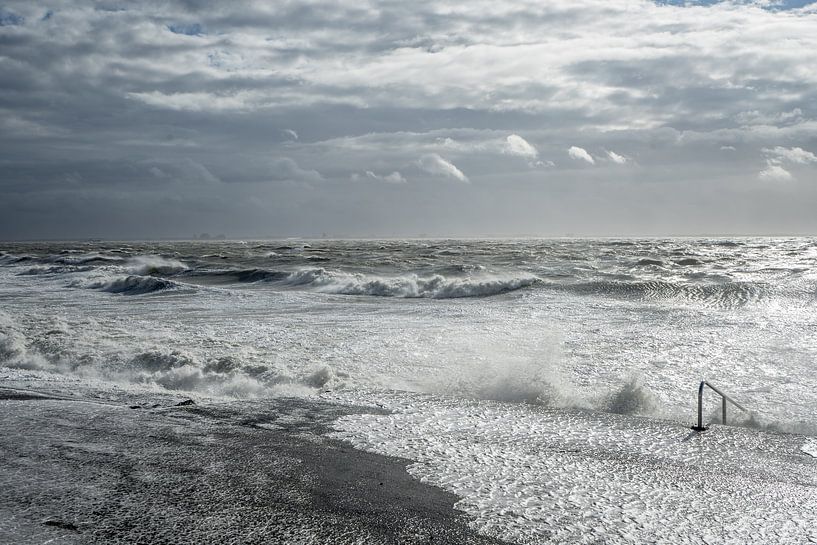 Natural violence on the boulevard of Vlissingen by Charlotte Serrarens